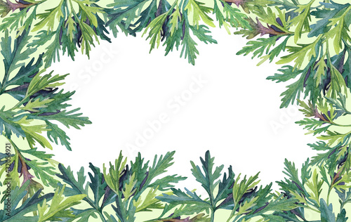 Watercolor frame border with green hand-drawn branch leaves isolated on white background. Banner template greenery copy space for design of invite, wedding celebration, announcement quotes, wallpaper
