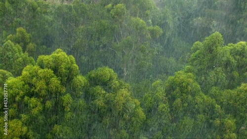 View from above of rain over a green tropical forest