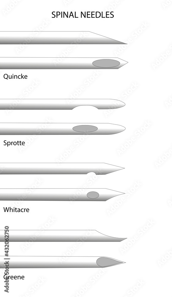 Spinal Needle. Different types of spinal needles side profile view