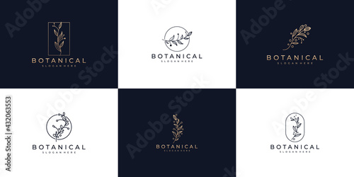 Set of botanical line art, symbol for beauty, health, and nature logo design
