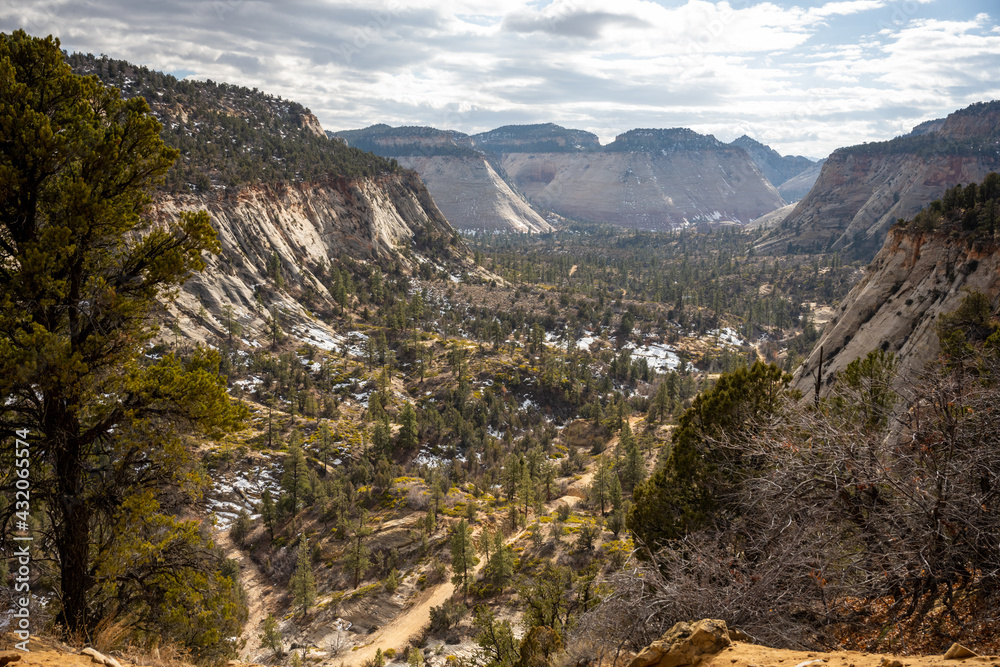 Naklejka premium Looking Out Over Zion National Park on the east side