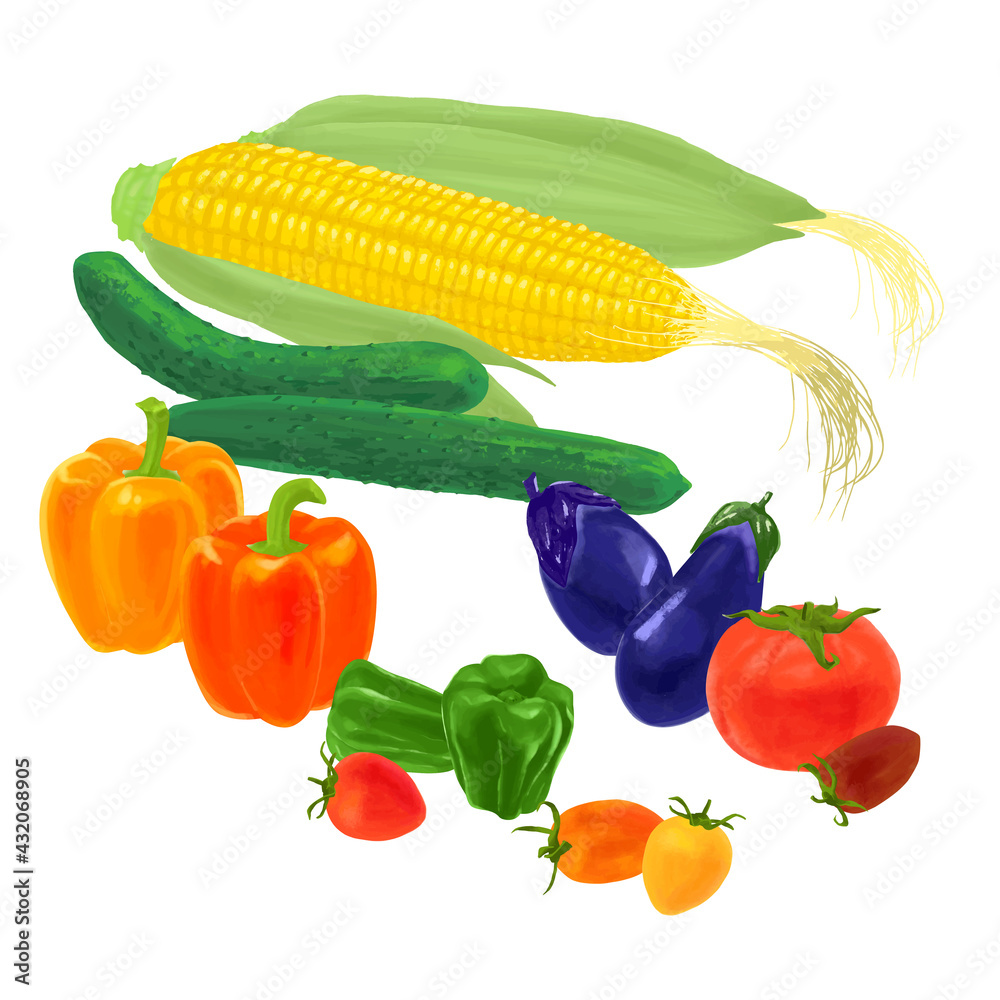 新鮮なトマトや茄子 玉蜀黍 ピーマン パプリカなど夏野菜のセット ベクターイラスト Stock Vector Adobe Stock
