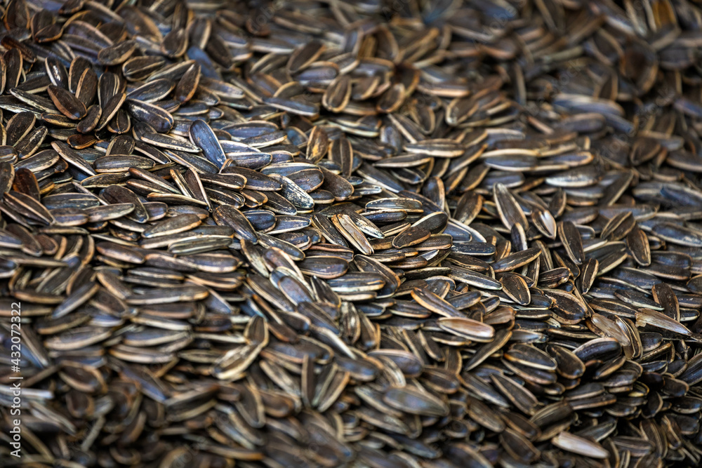 Roasted organic sunflower seeds on a pile. organic sunflower seed for background use