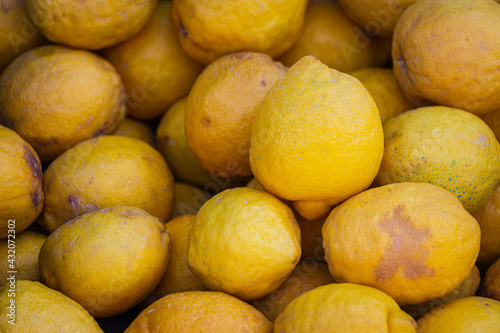 Close up of the yellow lemon  ,  background. Fresh lemons variety grown in the shop.