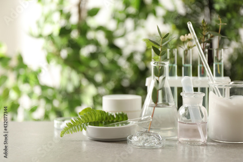 Natural ingredients for cosmetic products and laboratory glassware on grey table against blurred green background