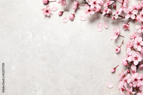 Fototapeta Naklejka Na Ścianę i Meble -  Cherry tree branch with beautiful pink blossoms on light stone table, flat lay. Space for text