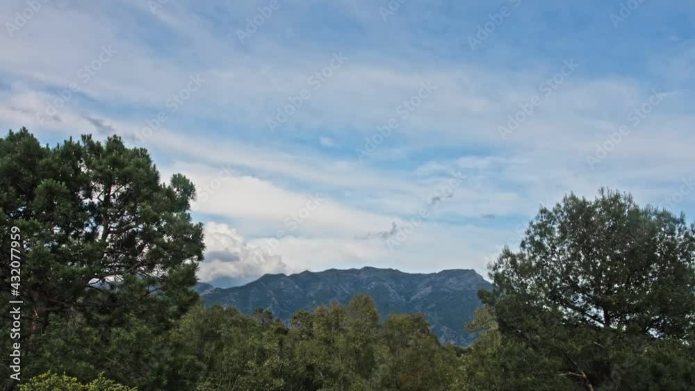 Scattered clouds moving on the sky at the forest Scattered clouds moving on the sky at the forest
