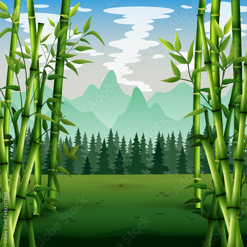Green bamboo trees background inside the forest