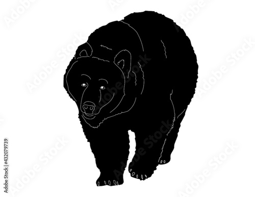 Vector plano oso Grizzly de colores caminado icono de animal vida salvaje apps y websites