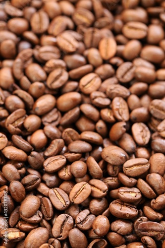 Coffee beans background. Roasted coffee.Texture of coffee beans. space for text.Arabica and Robusta coffee variety.Traditional morning drink