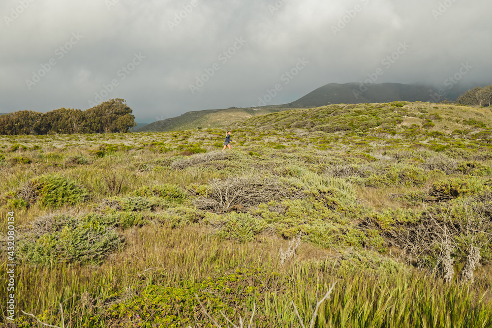 Obraz premium Hiking trail in Montana de Oro State Park. California landscape, native plants, green hills, and cloudy sky background