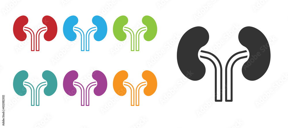 Black Human kidneys icon isolated on white background. Set icons colorful. Vector