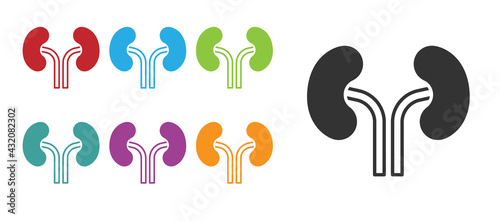 Black Human kidneys icon isolated on white background. Set icons colorful. Vector