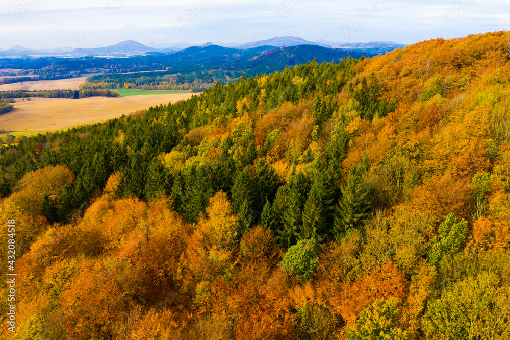 View from drone of undulating forest landscape in sunny autumn day..