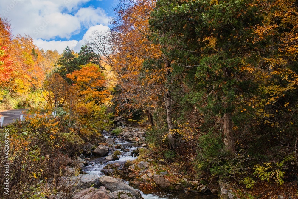 晴れた秋の山にある紅葉と川