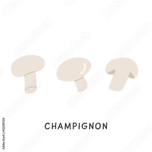 Set of whole and cut in half edible champignon mushrooms isolated on white background. Tasty fresh raw product, organic vegan food ingredient. Vector illustration in flat cartoon style.