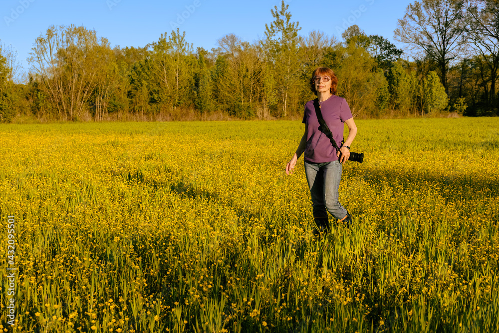 Older woman photographer walking in the field of yellow wildflowers at sunset in Missouri; woods and blue sky in background Older woman photographer walking in the field of yellow wildflowers at sunset in Missouri; woods and blue sky in background