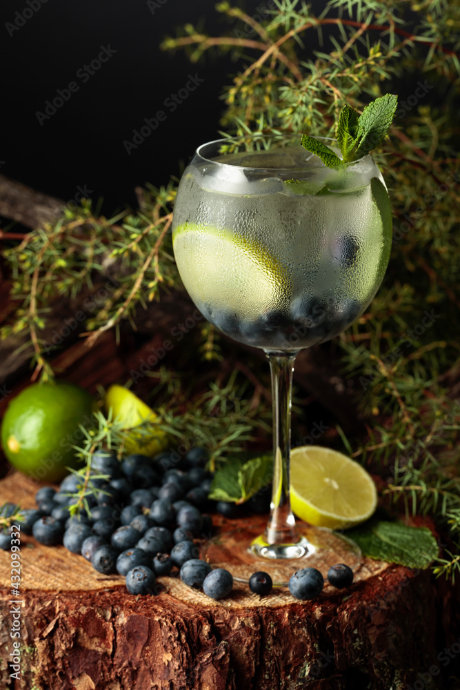 Gin and Tonic cocktail with blueberry, lime, and mint. - obrazy, fototapety, plakaty 