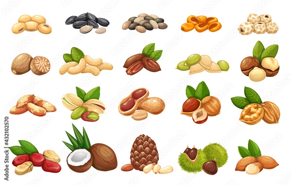 Nuts, seeds and grains icons vector set. Cola nut, peanut, sunflower seeds, pistachio, cashew, coconut and hazelnut. Macadamia, almond, corn nuts, nutmeg, chestnuts or chufa tigernuts and ets.