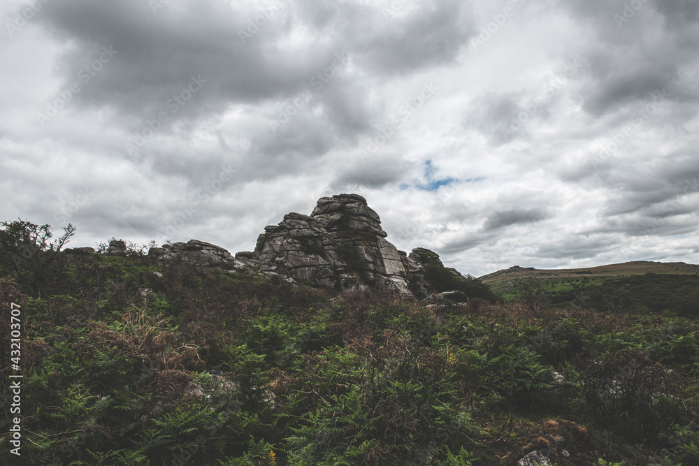 Fototapeta premium Dartmoor Landscapes, Dartmoor National Park, UK