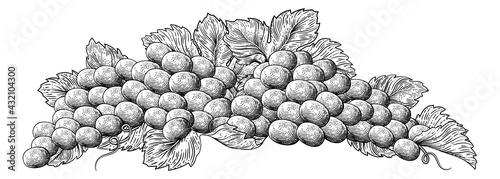 Grapes Bunch Vine And Leaves Woodcut Etching Style