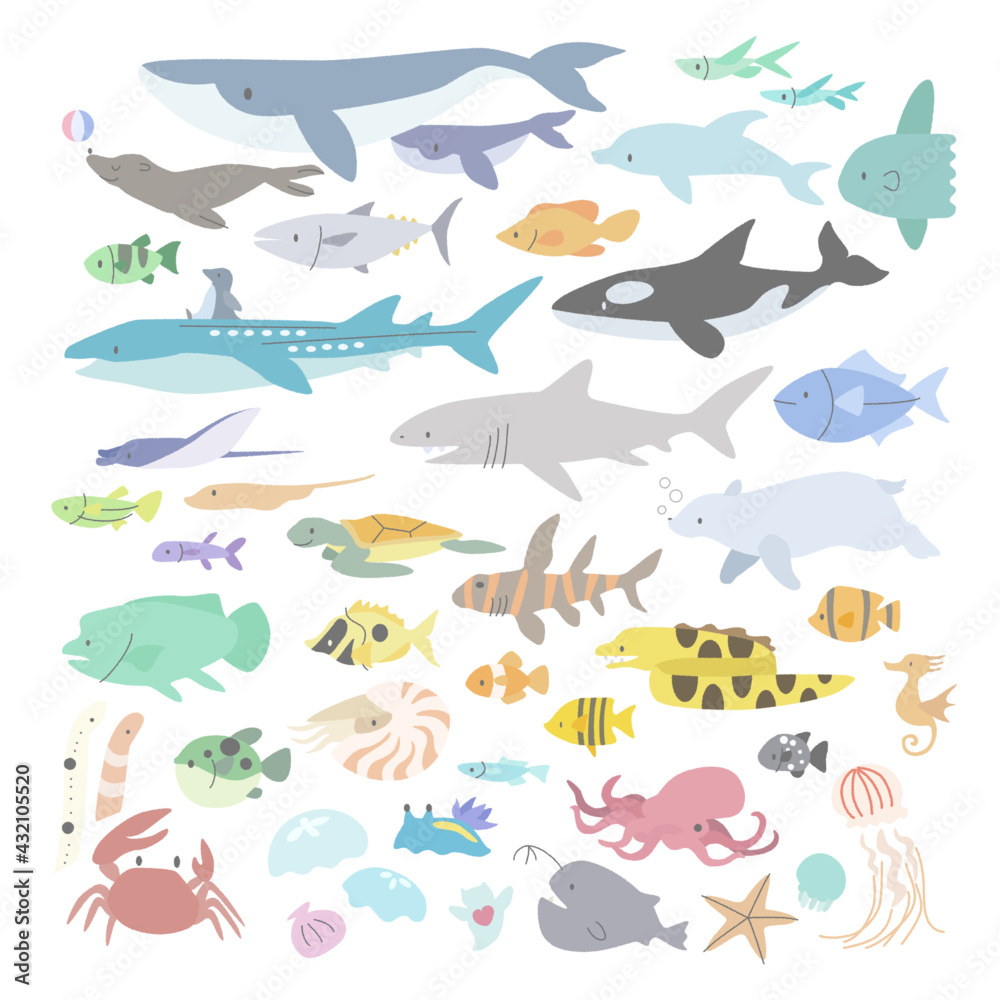 海の動物のイラストセット Stock Vector Adobe Stock