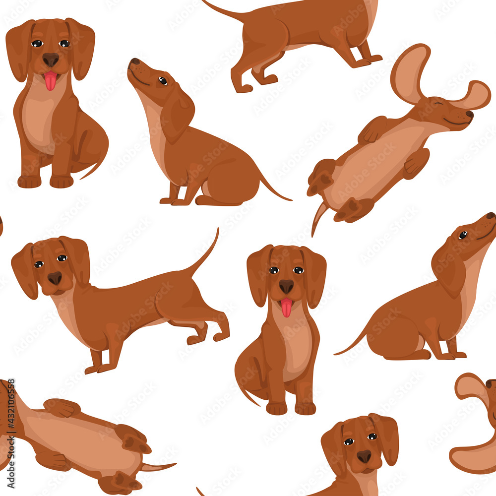 Fototapeta premium Pattern dachshund dog, cheerful friend, pet, lie down, run and have fun. Vector in cartoon