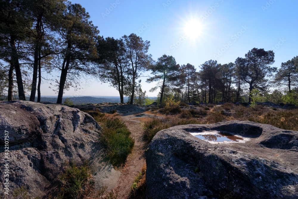 Denecourt path number 16, the Belvedere trail in Fontainebleau forest