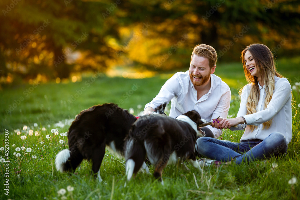 Couple playing with their dogs in the park