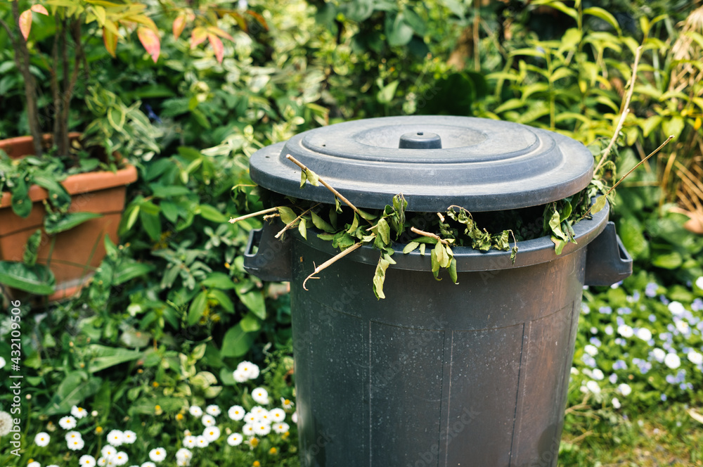 Foto de Full greenery bin in a garden. Green lid bin with branches and