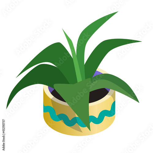 Isometric houseplant in the pot icon. Isolated on white background.