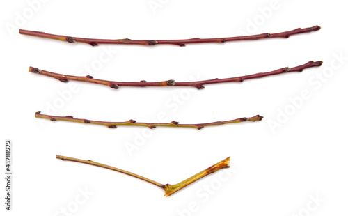 Fotografie, Obraz Wooden twigs isolated on a white