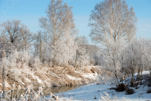 Trees and plants near the river are covered with frost on a cold winter sunny day