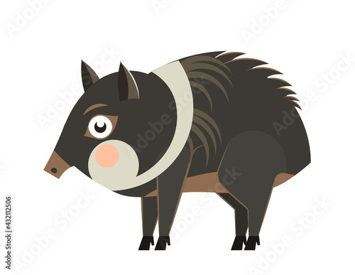 Cute cartoon collared peccary in flat style. South America animal for abc book. Vector illustration
