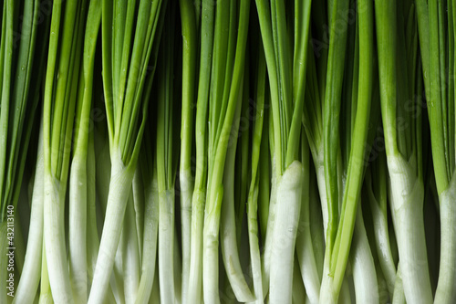 Fresh green onion on whole background, close up