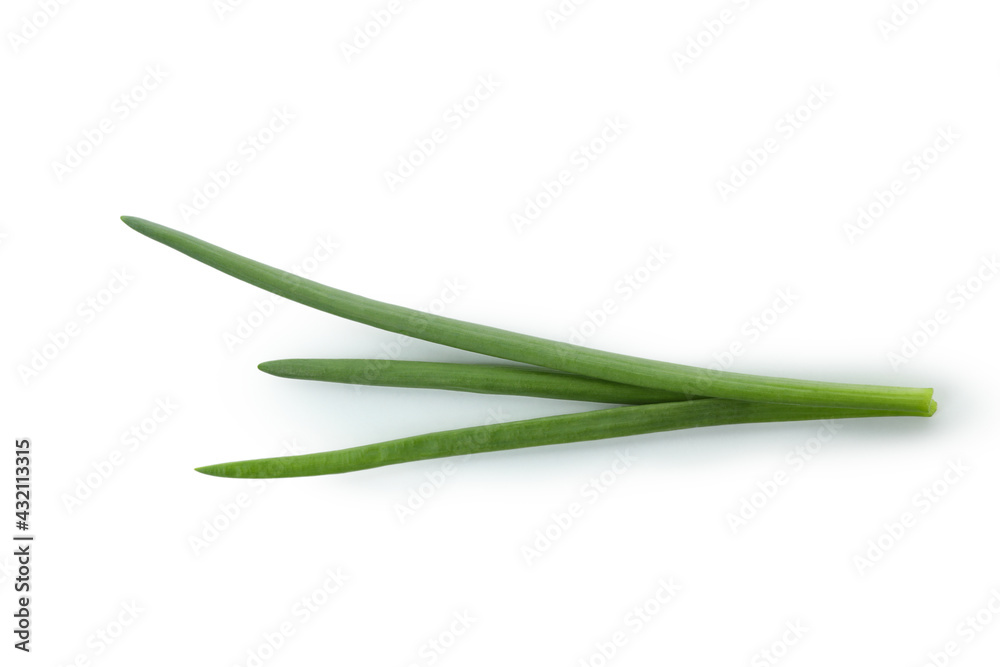 Fresh green onion isolated on white background Fresh green onion isolated on white background
