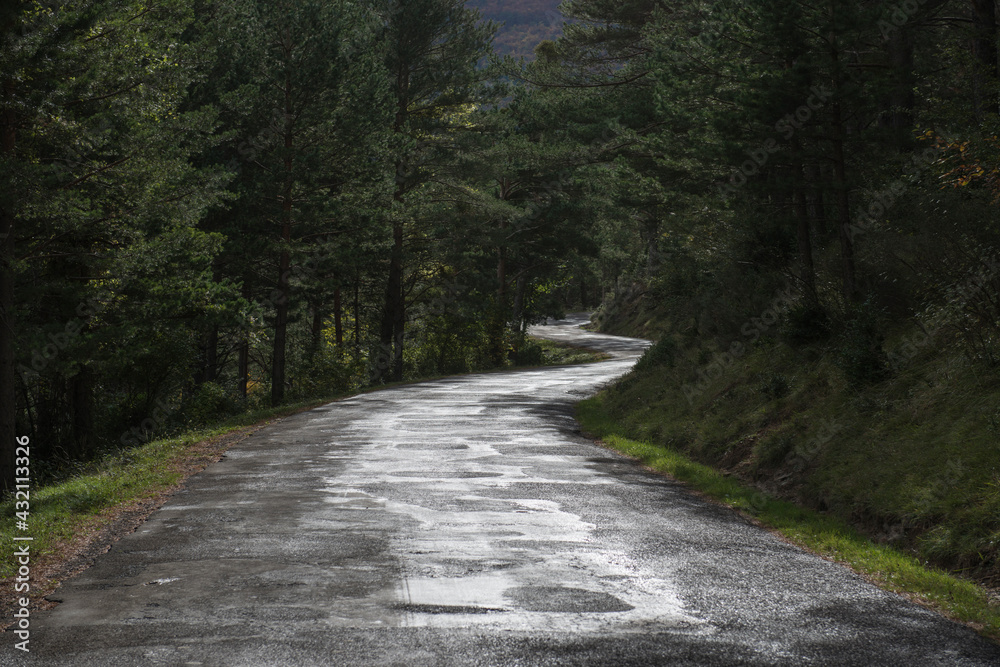 Naklejka premium Carretera perdida