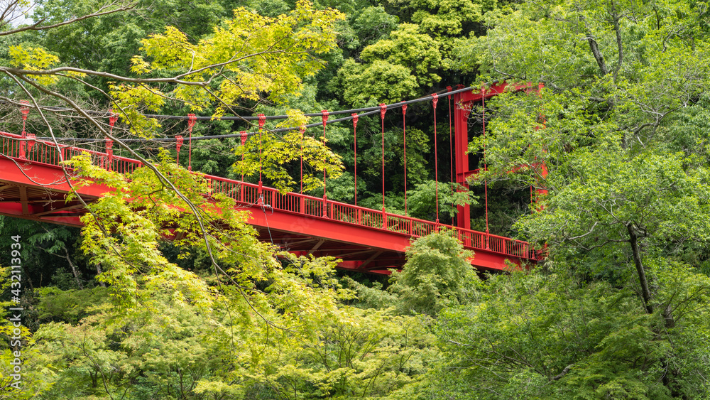 森の中の赤い吊橋