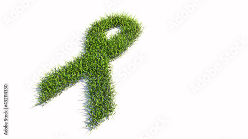 Concept or conceptual green summer lawn grass symbol isolated white background  breast cancer symbol. 3d illustration metaphor for awareness  solidarity  life  prevention  support  help and cure