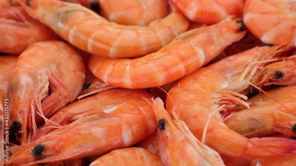fresh shrimps close up. Sliding shot. 4K UHD video fresh shrimps close up. Sliding shot. 4K UHD video