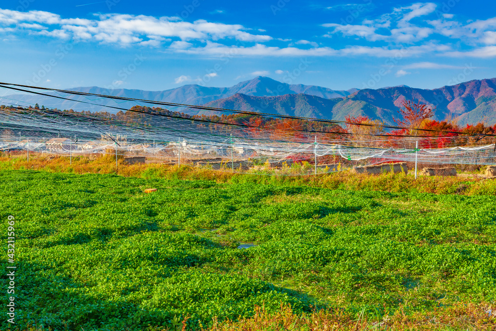 Naklejka premium 農村公園の風景 遠方に御坂山塊が見えます 山梨県富士吉田市にて