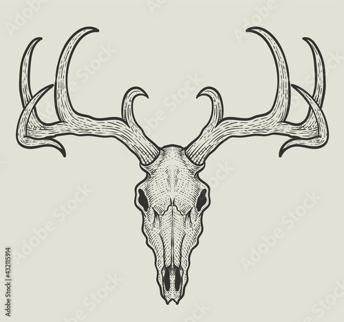 illustration vector dear skull head with engraving style
