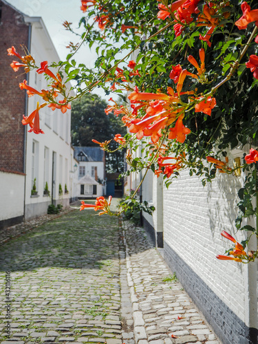 The 13th century  beguinage in the city center of LIer, Belgium. A Unesco world heritage site. photo