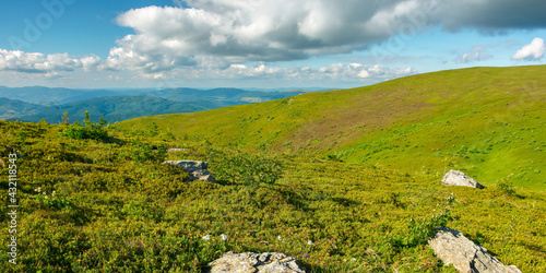 view from runa mountain. grassy hills and slopes in evening light. summer landscape of carpathian mountains. bieszczady and vihorlat ridge in the distance beneath a sky fluffy clouds photo