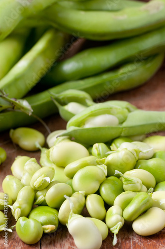 Obraz na plátně organic small farm harvested fava beans