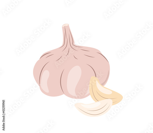 Garlic Bulb isolated on white background.Flavor Seasoning Herbs and Spicy Root Ingredient.Flat Vector colored illustration of sliced garlic clove,garlic bulb in cartoon flat style.Vegetable Icon