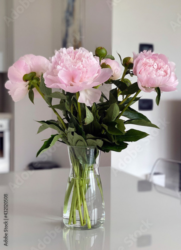 Size of peonies in a glass vase on a neutral background. Close-up of flowers Pink peonies . Beautiful peony flower for catalog or online store. Floral shop concept . Beautiful fresh cut bouquet. 