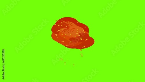 Tomato icon animation cartoon object on green screen background photo