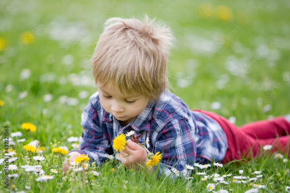 Beautiful toddler blond child, cute boy, lying in the grass in daisy and dandelions filed Beautiful toddler blond child, cute boy, lying in the grass in daisy and dandelions filed
