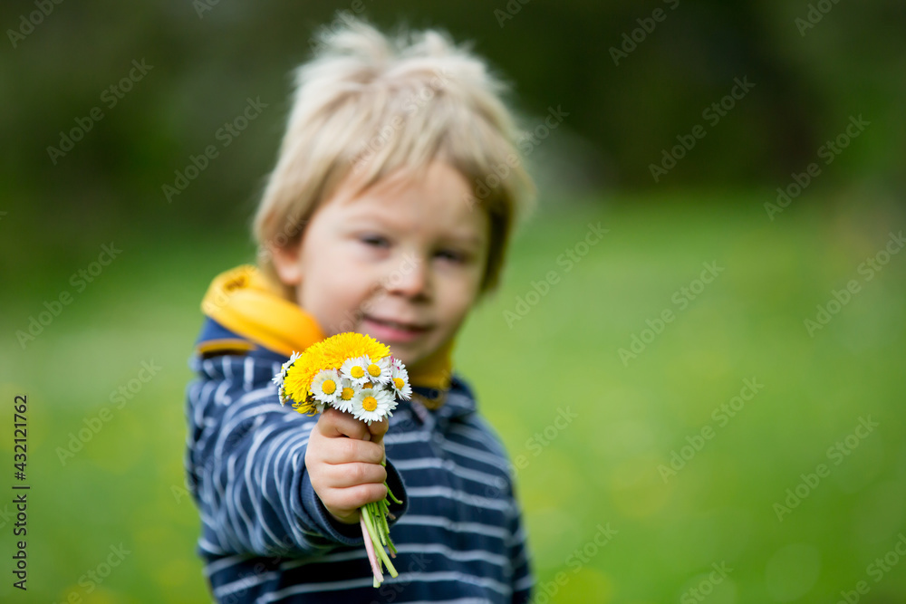 Beautiful toddler blond child, cute boy, lying in the grass in daisy and dandelions filed Beautiful toddler blond child, cute boy, lying in the grass in daisy and dandelions filed